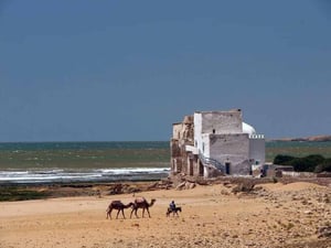 Sidi Kaouki - kitesurfing in Essaouira, Morocco // Kiterr.com