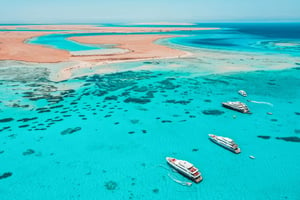 Kite safari on the Red Sea Islands