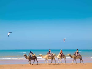 Kitesurfing in Essaouira, Morocco // Kiterr.com
