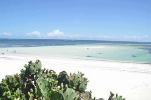 Garoda Beach (Kite Beach), Watamu, Kenya // Kiterr.com