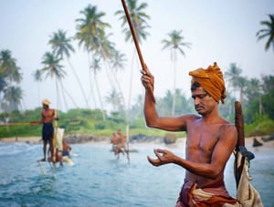 Kalpitiya fishermen - stilt fishing | Kiterr.com