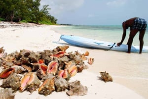 Da Conch Shack - Beach Bar & Grill - Rum Bar - Providenciales, Turks & Caicos Islands | Kiterr.com