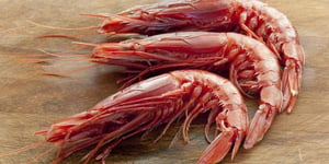 Delicious local gambero rosso - The red prawn | Kitesurfing in Sicily - Kiterr.com