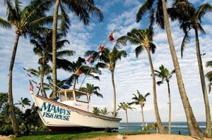 Mama's Fish House on Mama's Beach - the best kitesurfing spots in Maui, Hawaii | Kiterr.com