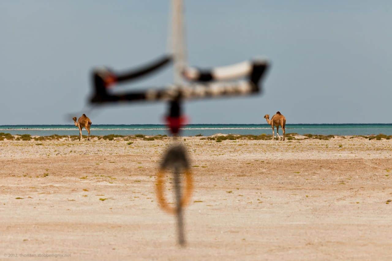 A beach in Oman // Kiterr.com