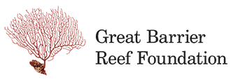 Our Heroes - Great Barrier Reef Foundation // Kiterr.com